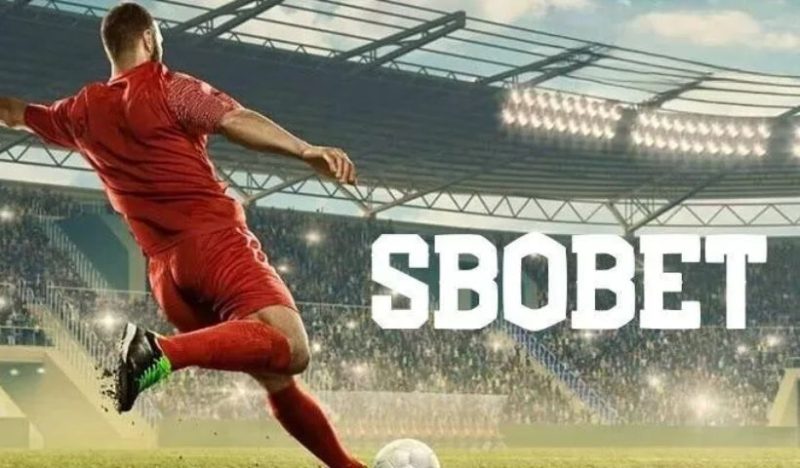 Thông tin tổng hợp về Sbobet Win79 bạn nên biết